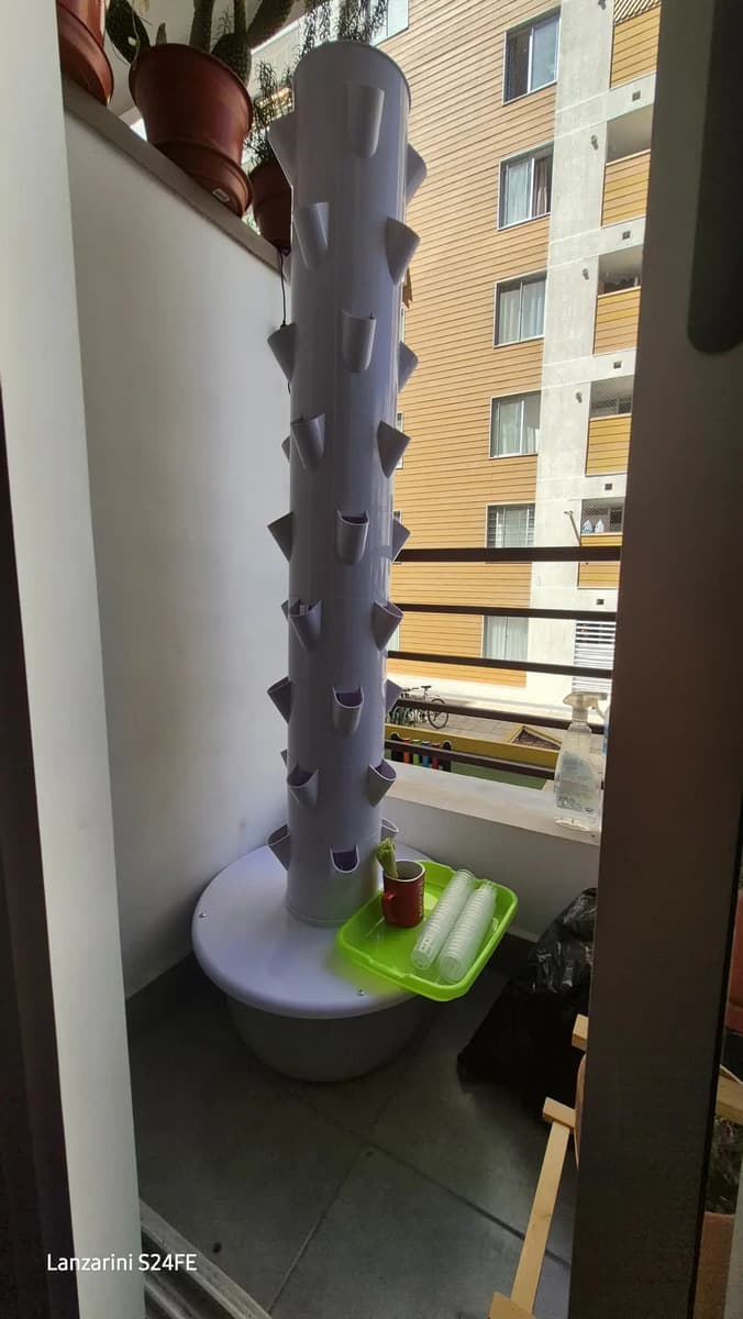 Foto compartida por un cliente