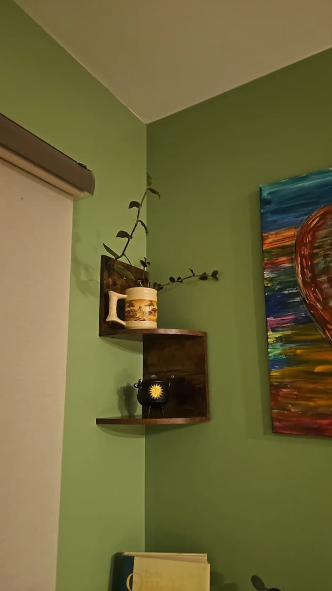 Foto compartida por un cliente